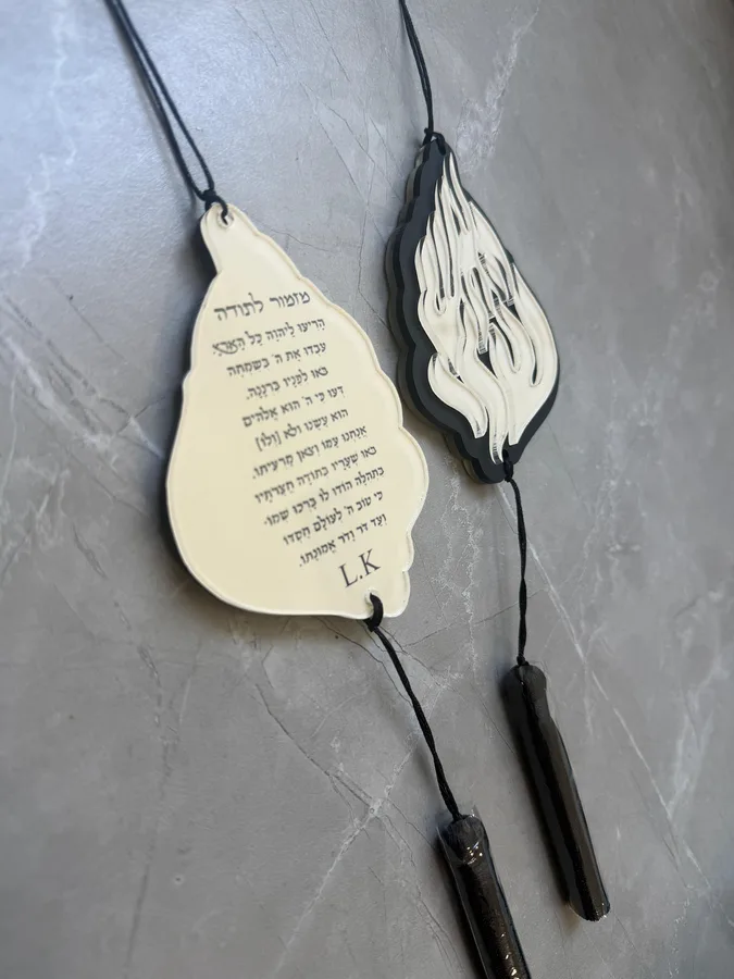 תליון לרכב האש שלי תלת מיימד
