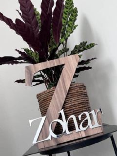 אות עם שם לחדר ילדים בעיצוב אישי בצבעים עץ טבעי וכסוף מראה